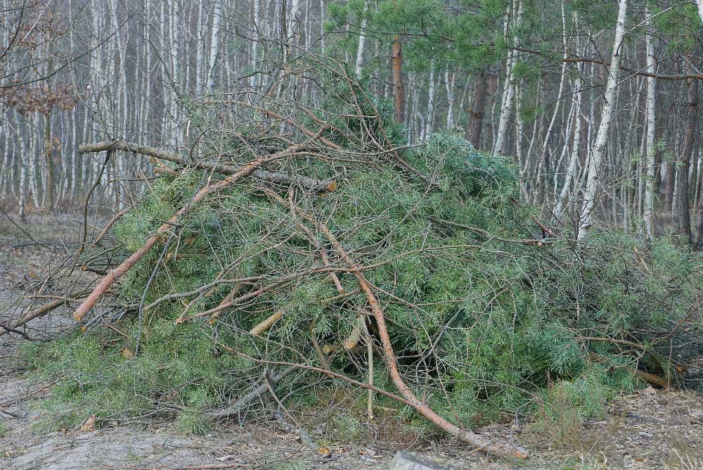 Garden Rubbish Removal Amigo Rubbish Removal Sydney